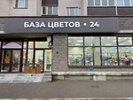 База цветов 24 (Truda Street, 50), flower shop