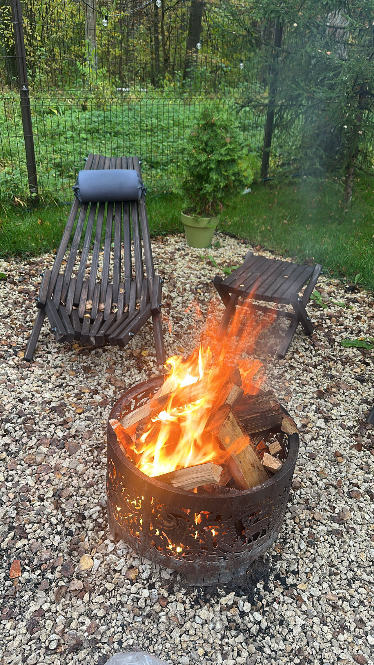 Фото Forest Glamp