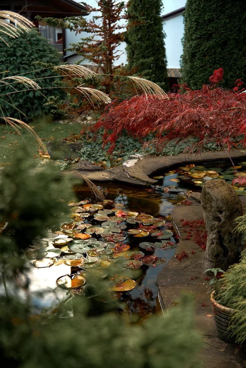 Фото Усадьба Парфенова