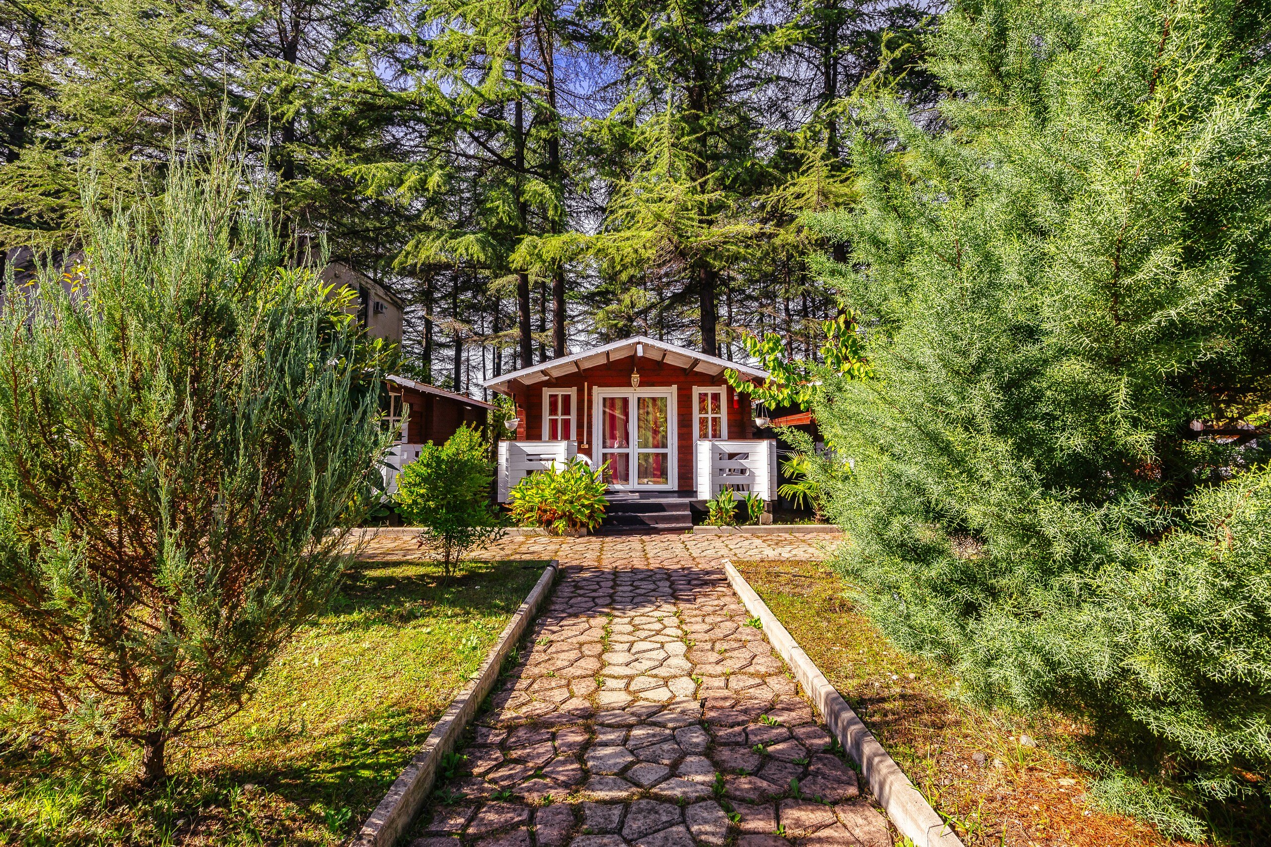 Фото Eco House Pitiunt