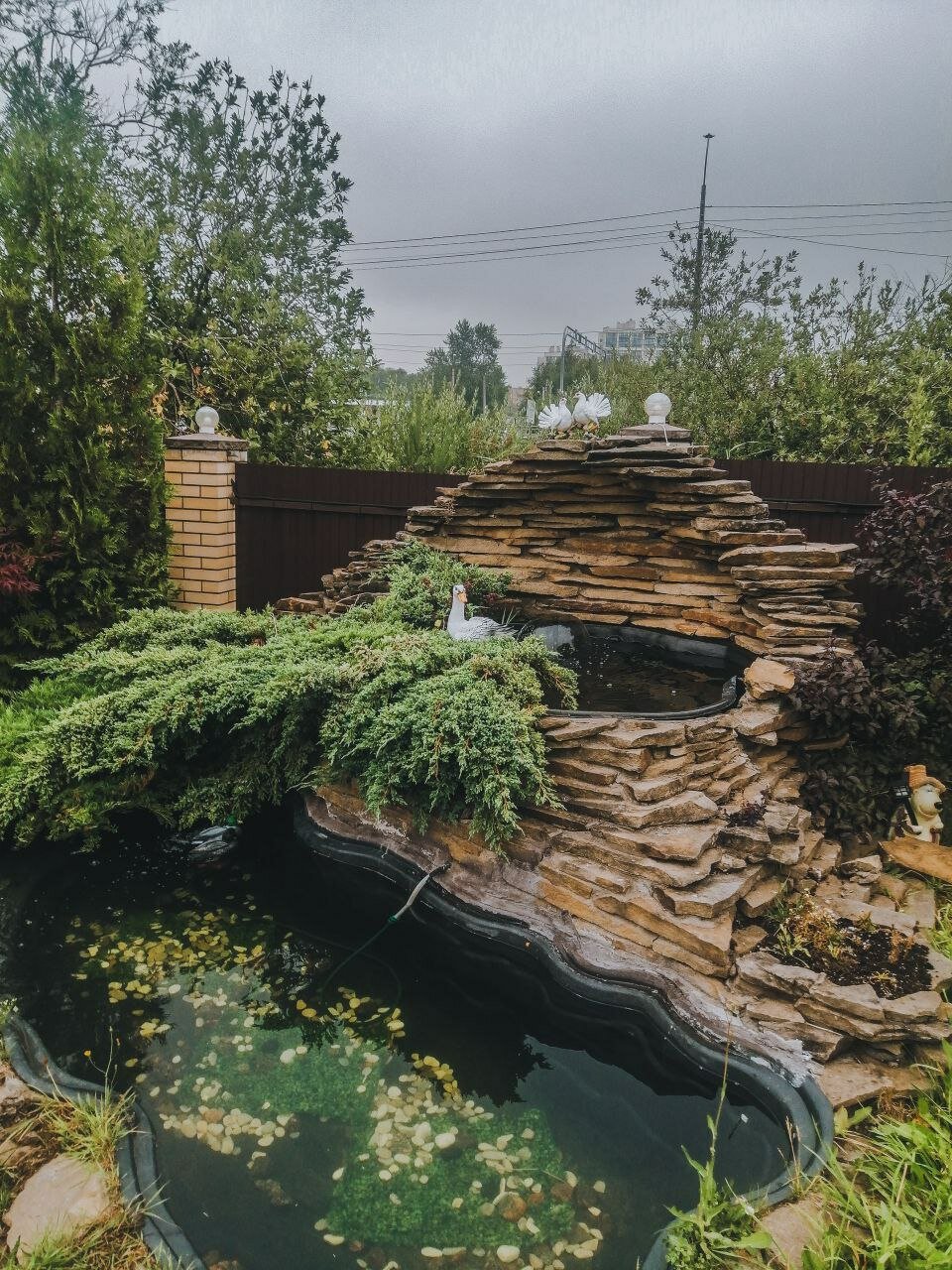 Фото Флогистон