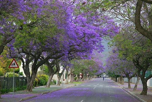 Внешний вид отеля Gubas De Hoek meet eat sleep в Муниципалитете Лангеберге, фото 2