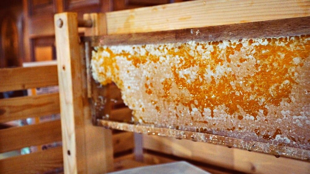 Фото Hotel Specht