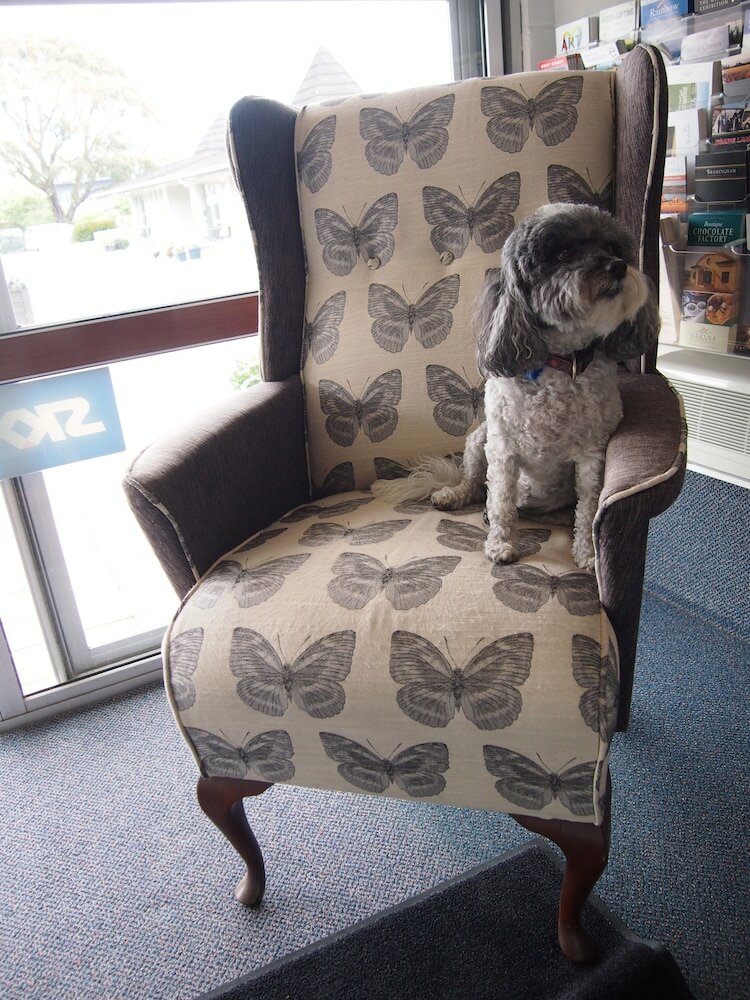 Фото Montana Lodge Motel