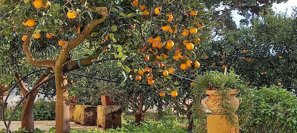 Фото Baglio Spanò