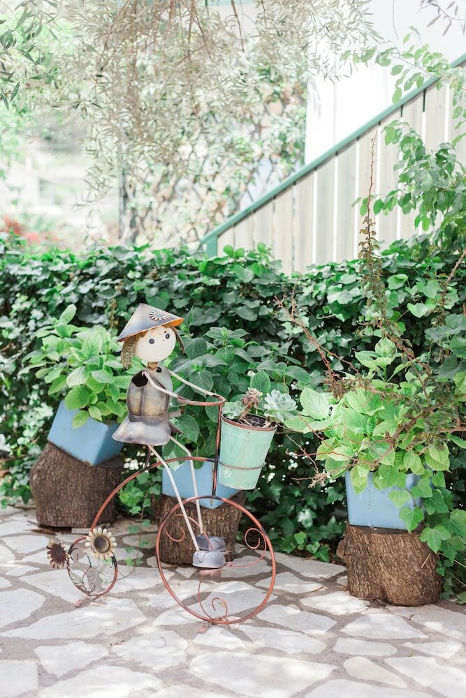 Фото Afroditi Pansion