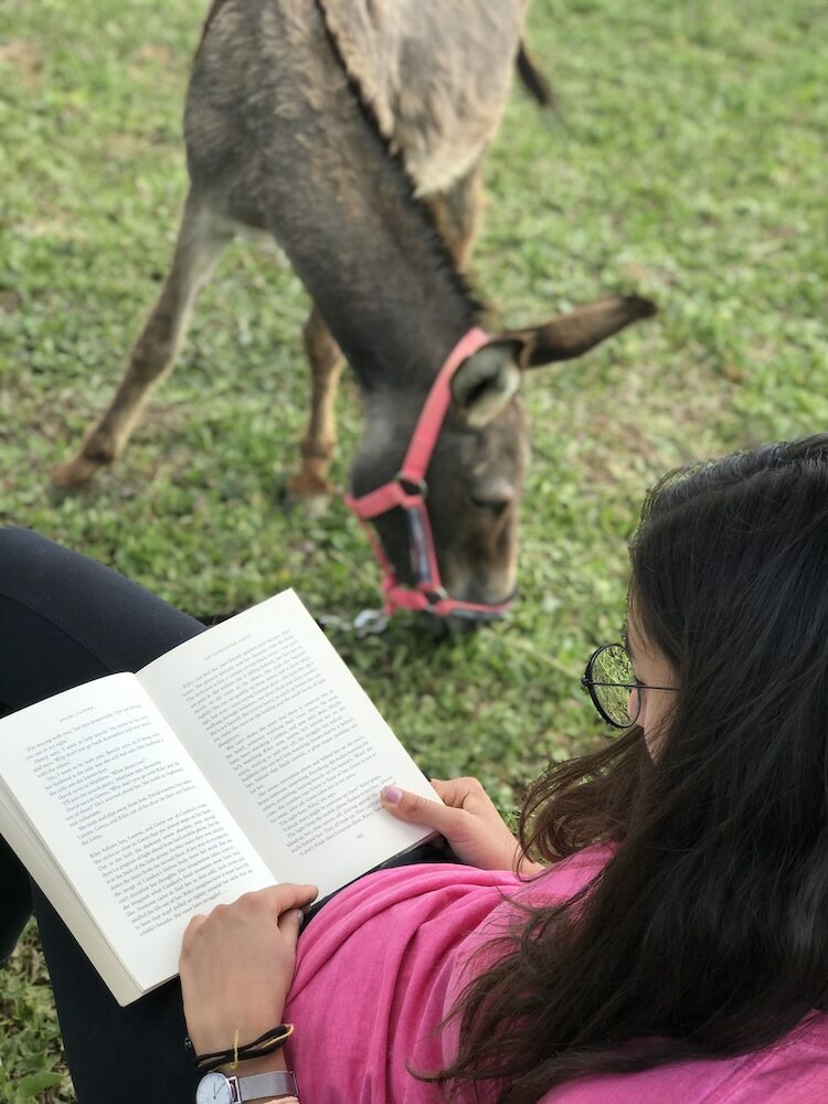 Фото La Locanda Paradiso
