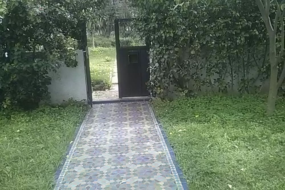 Фото Riad Mimosa