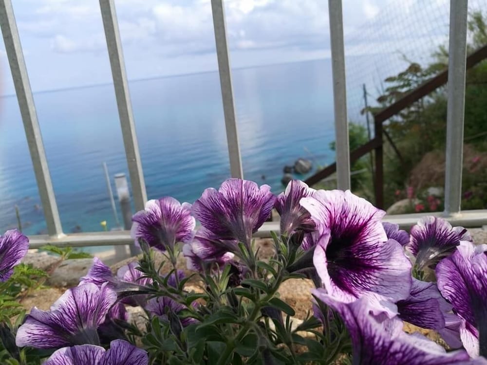 Фото Borgo degli Dei - Affittacamere Poseidone