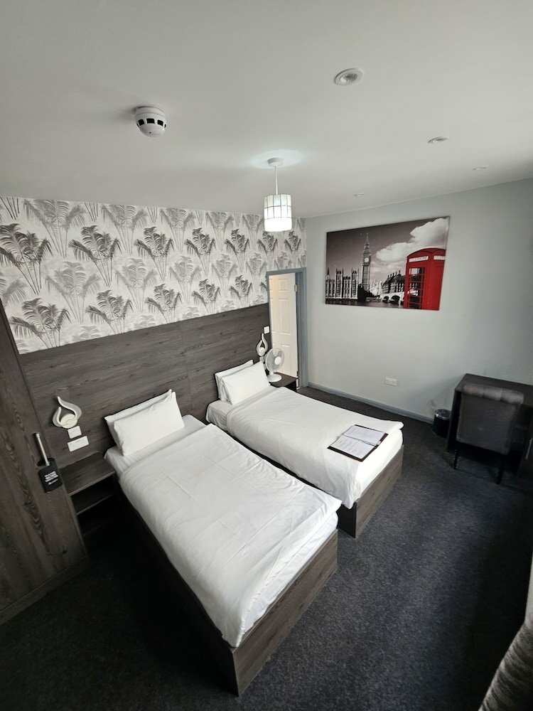 Фото Casuarina Tree