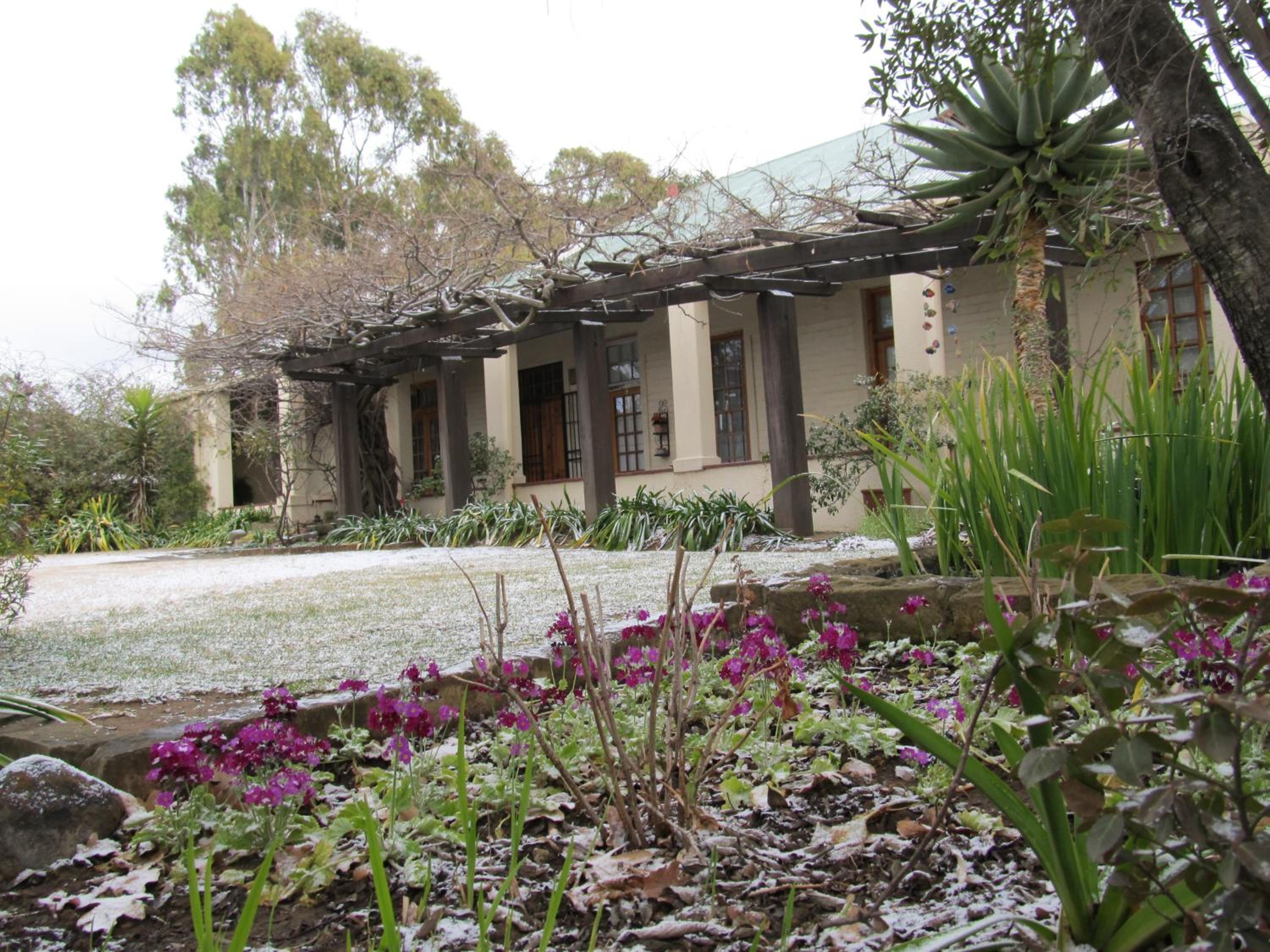 Фото Top House Bed & Breakfast