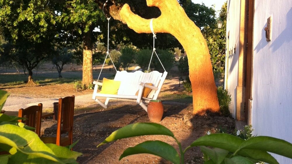 Фото Quinta dos Ribeiros