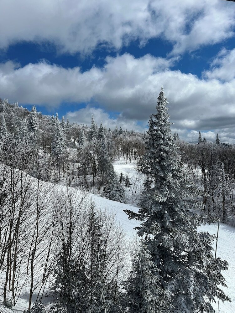 Фото Le Westin Tremblant