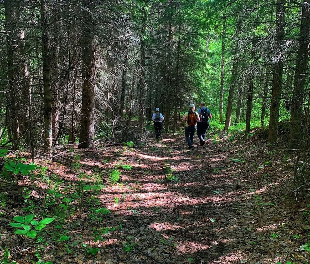 Фото Holiday Inn Express & Suites Drayton Valley