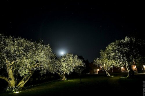 Внешний вид отеля Hotel Masseria degli Ulivi в Ното, фото 3