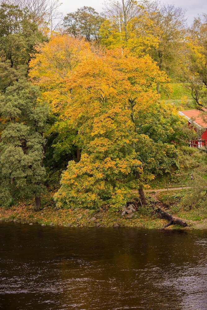 Фото Grand Hotel Falkenberg