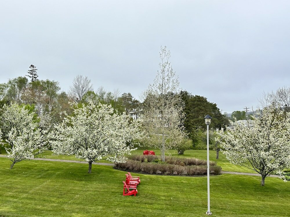 Фото Ceilidh Country Lodge