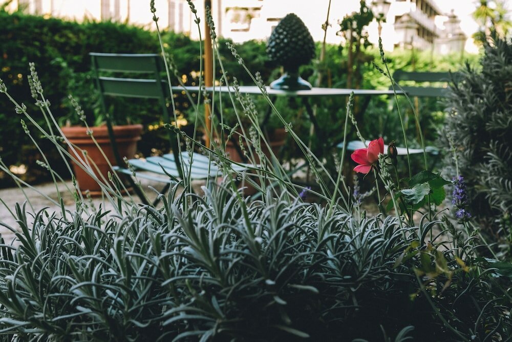 Фото Hotel Eveline Portosole