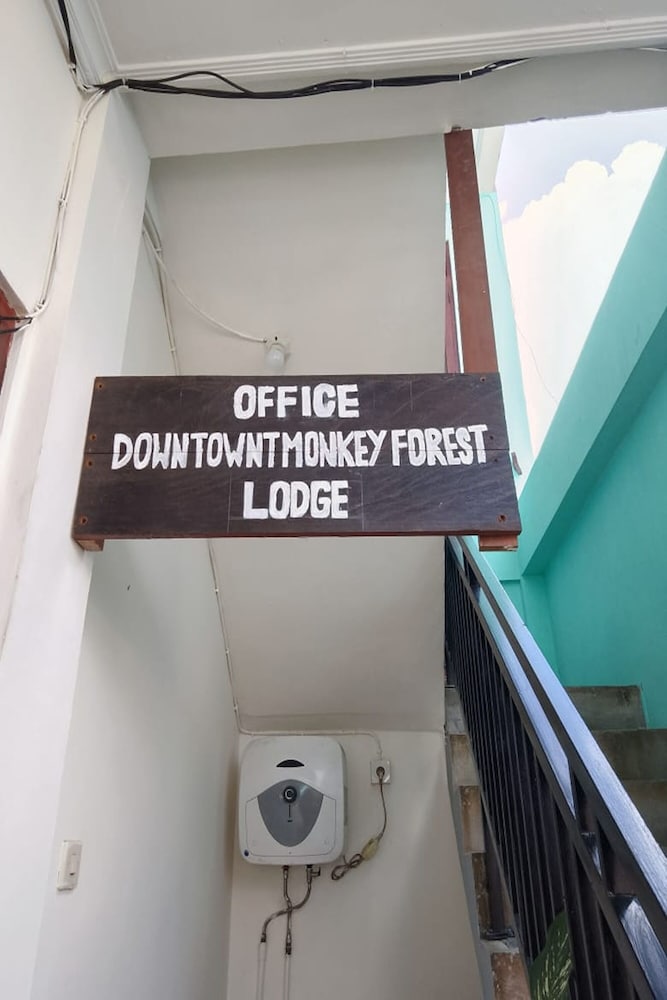 Фото Downtown Monkey Forest - Hostel