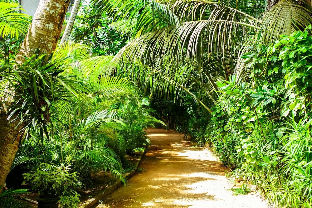 Фото Seashore Mirissa