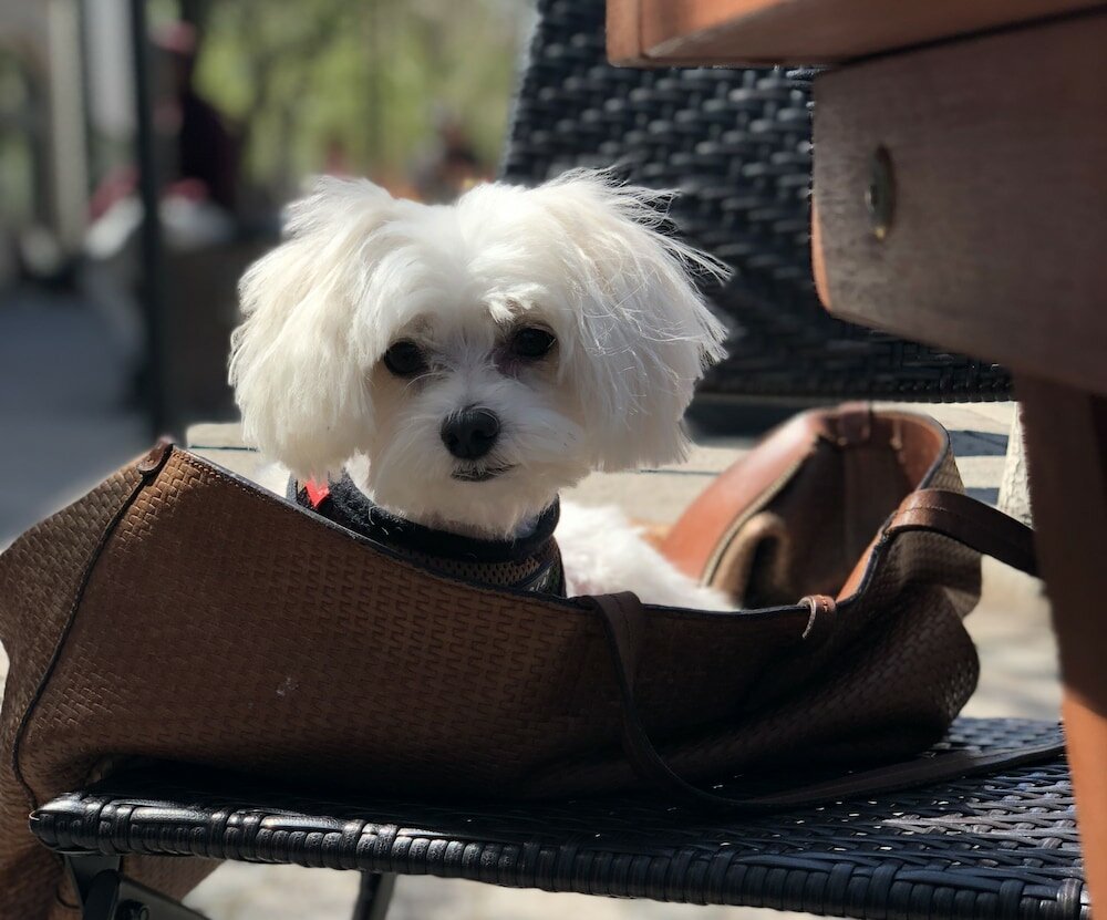 Фото The Empire Hotel