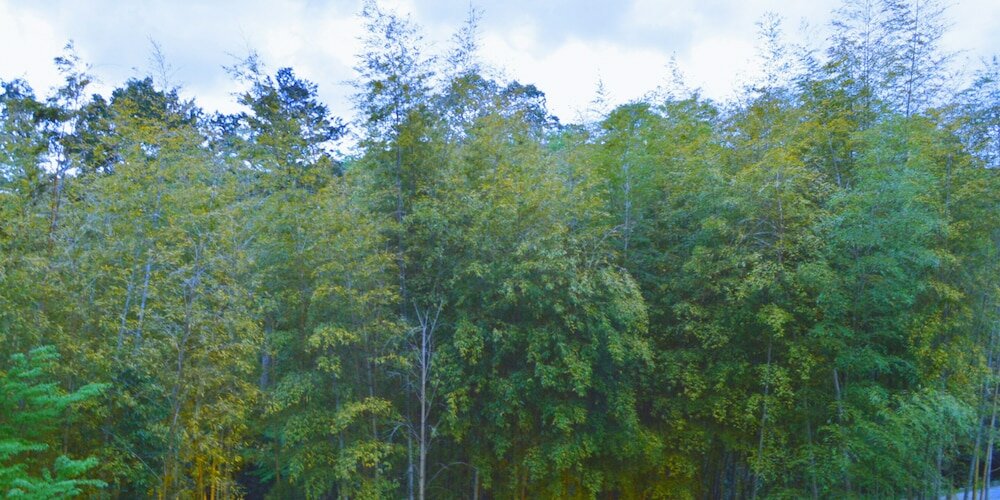 Фото Tatsuta Ryokan