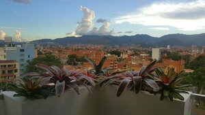 Апартаменты Terra Biohotel Medellín