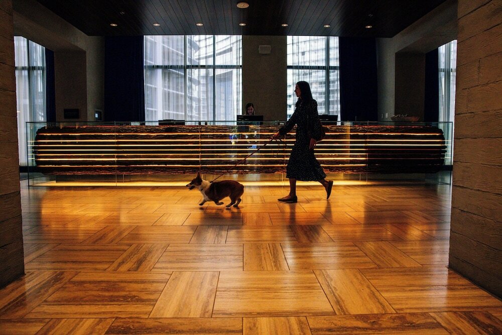 Фото The Douglas Autograph Collection