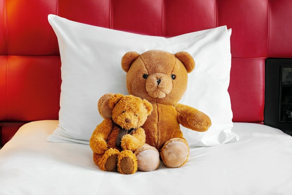 Фото Crowne Plaza Amsterdam South, an Ihg Hotel