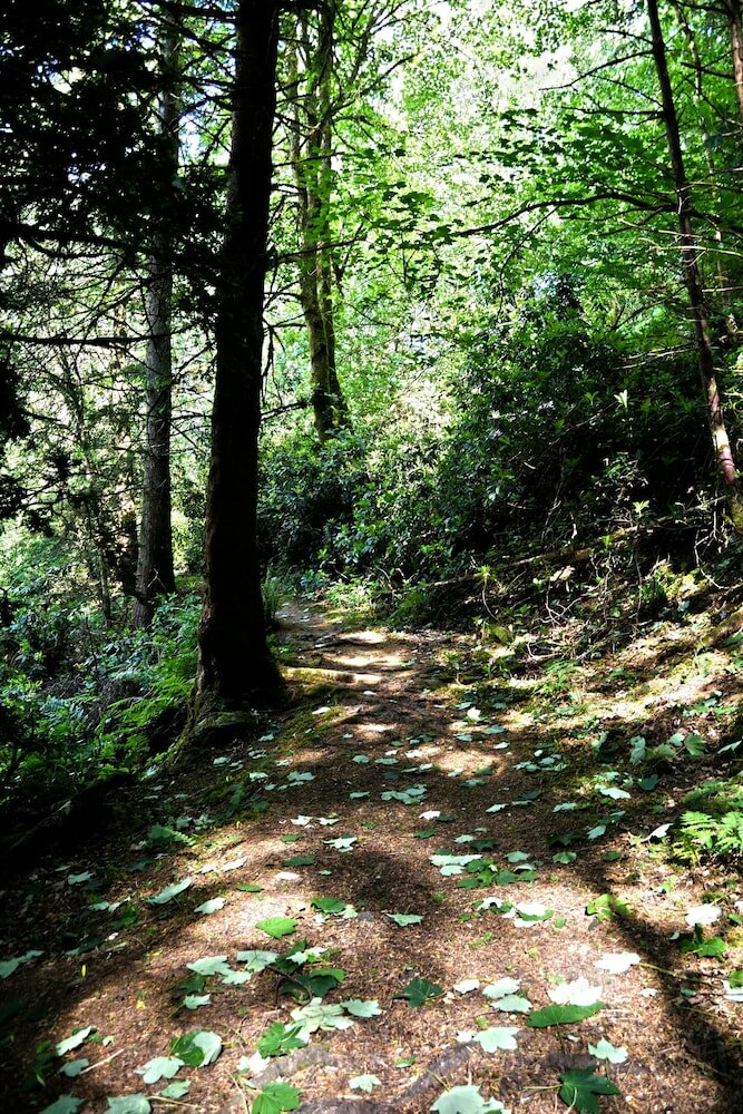 Фото The Bridge of Cally Hotel