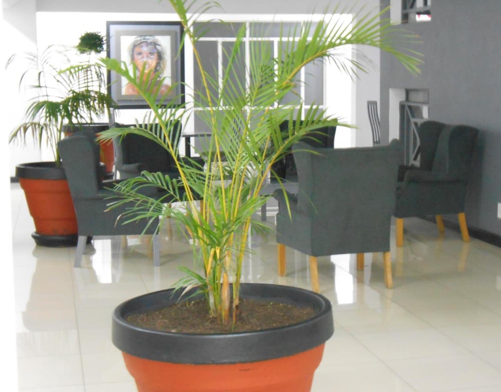 Фото The Jack Rose