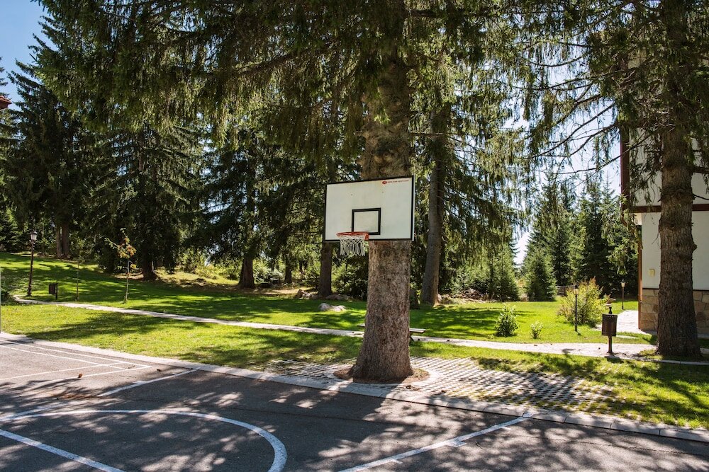 Фото Mountain Lake Hotel