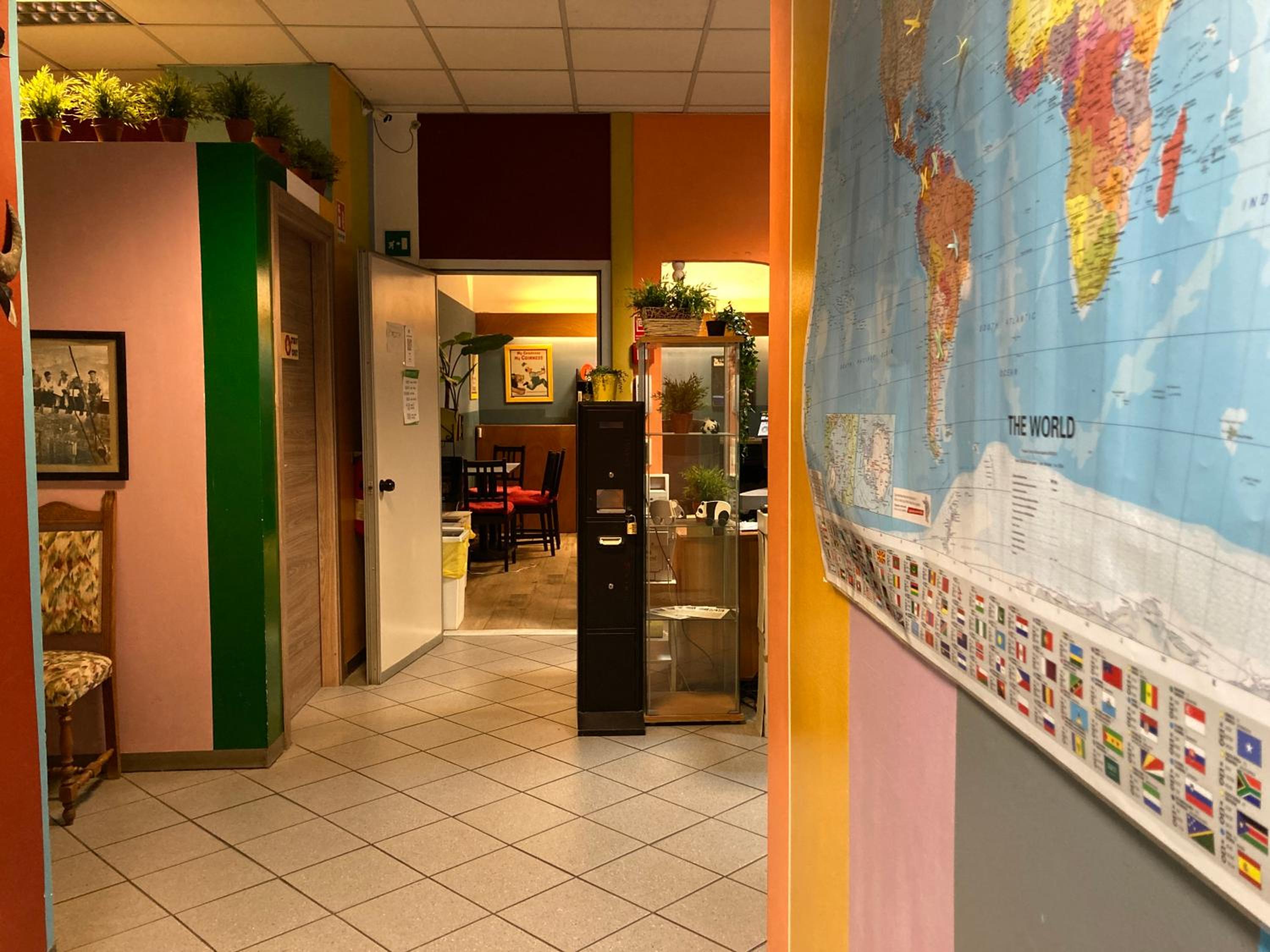 Фото Koala Hostel