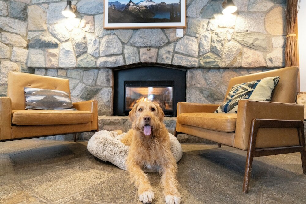 Фото Adara Hotel