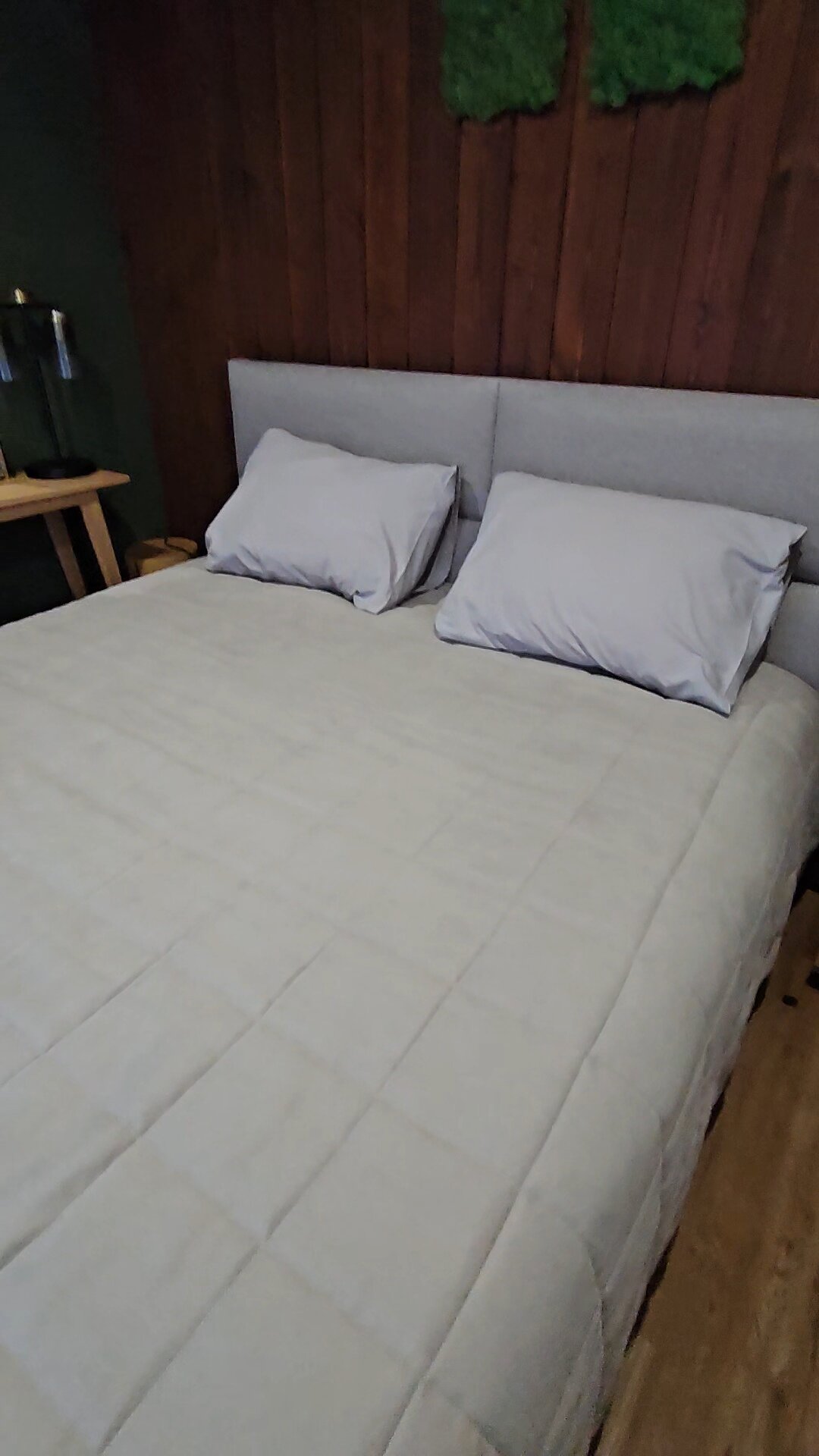 Фото Листья