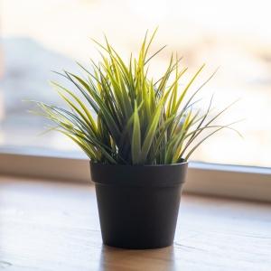 Фото Mina Pos'yet