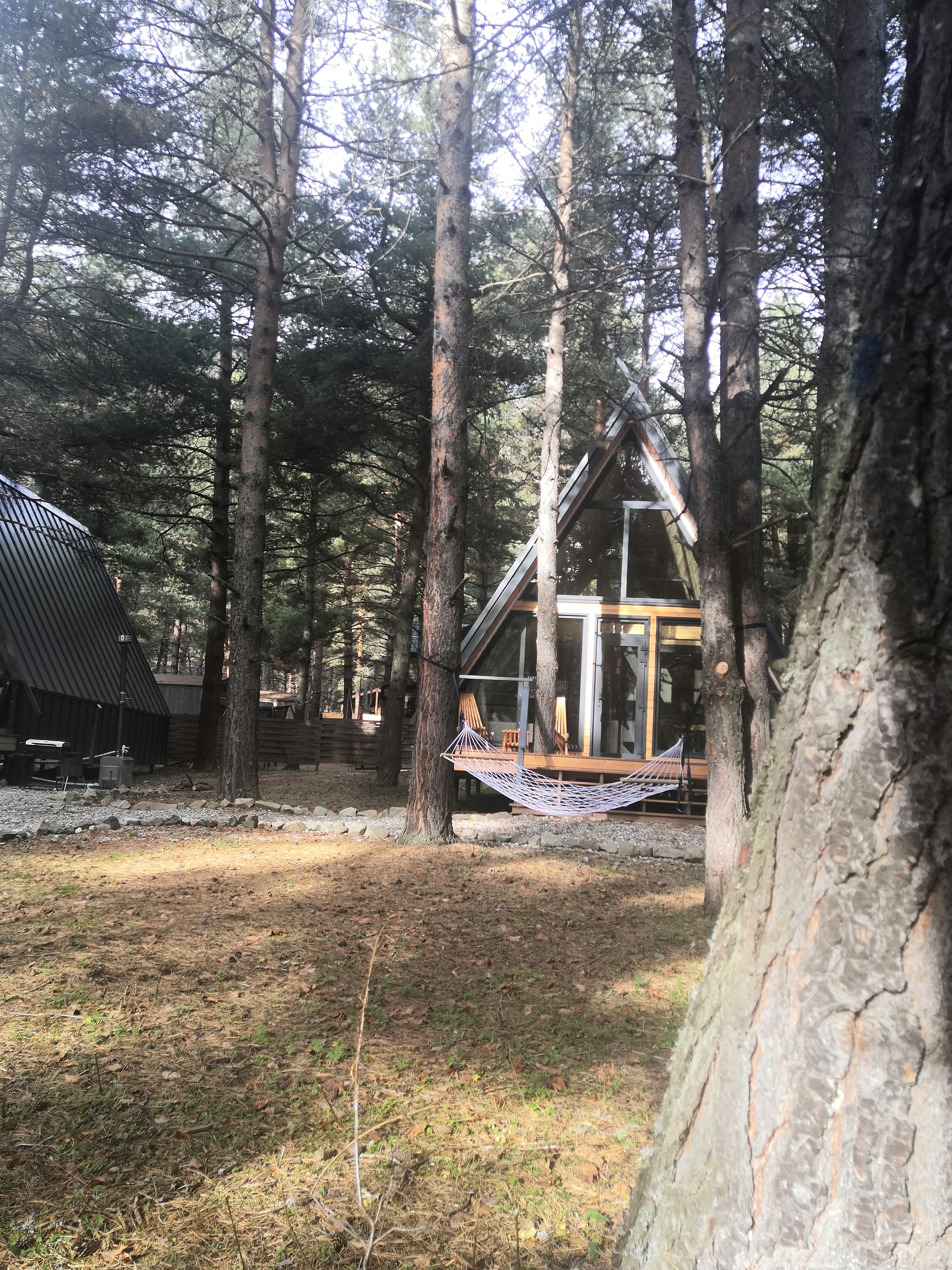 Фото Тунгуска