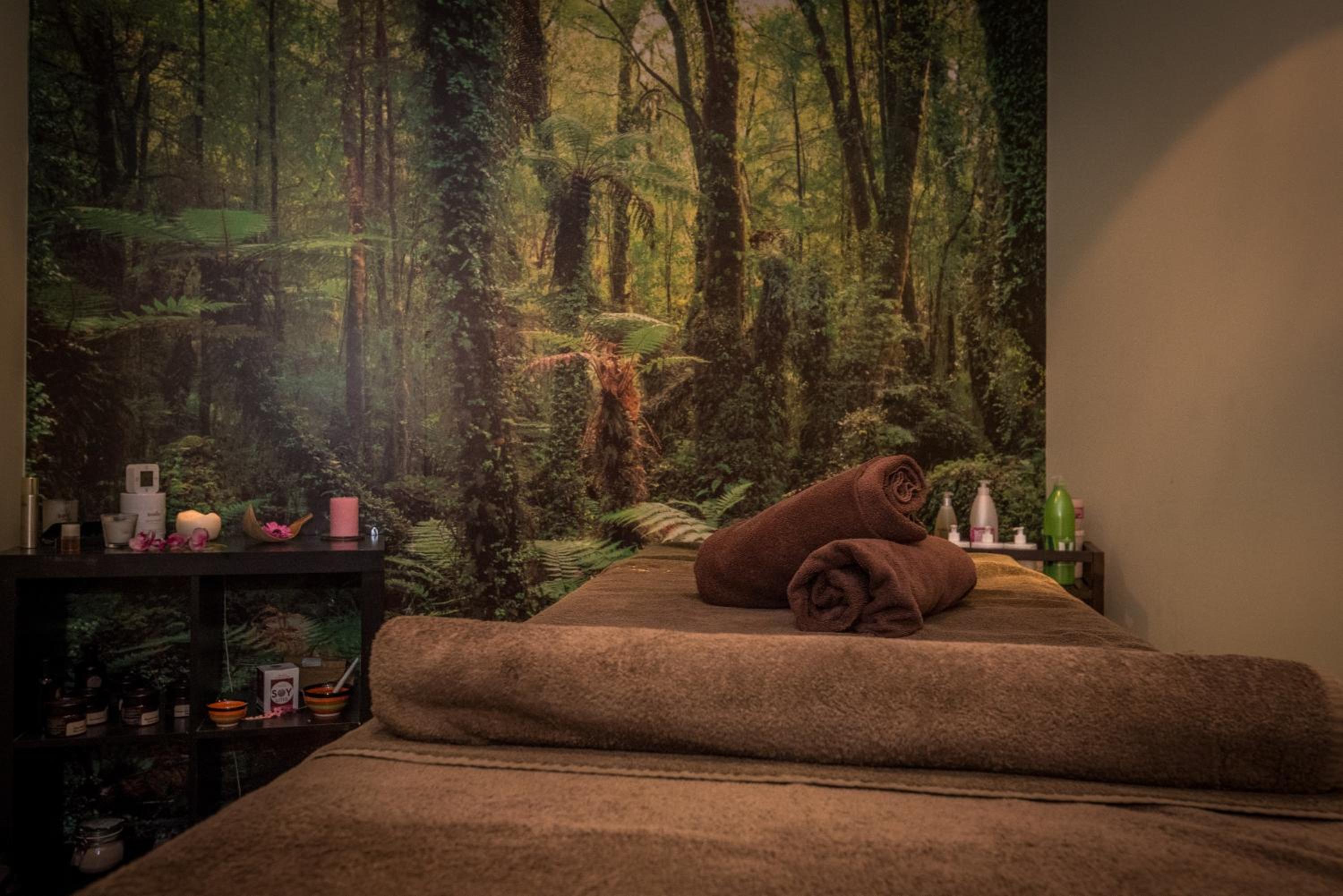 Фото Lion Hotel Bansko