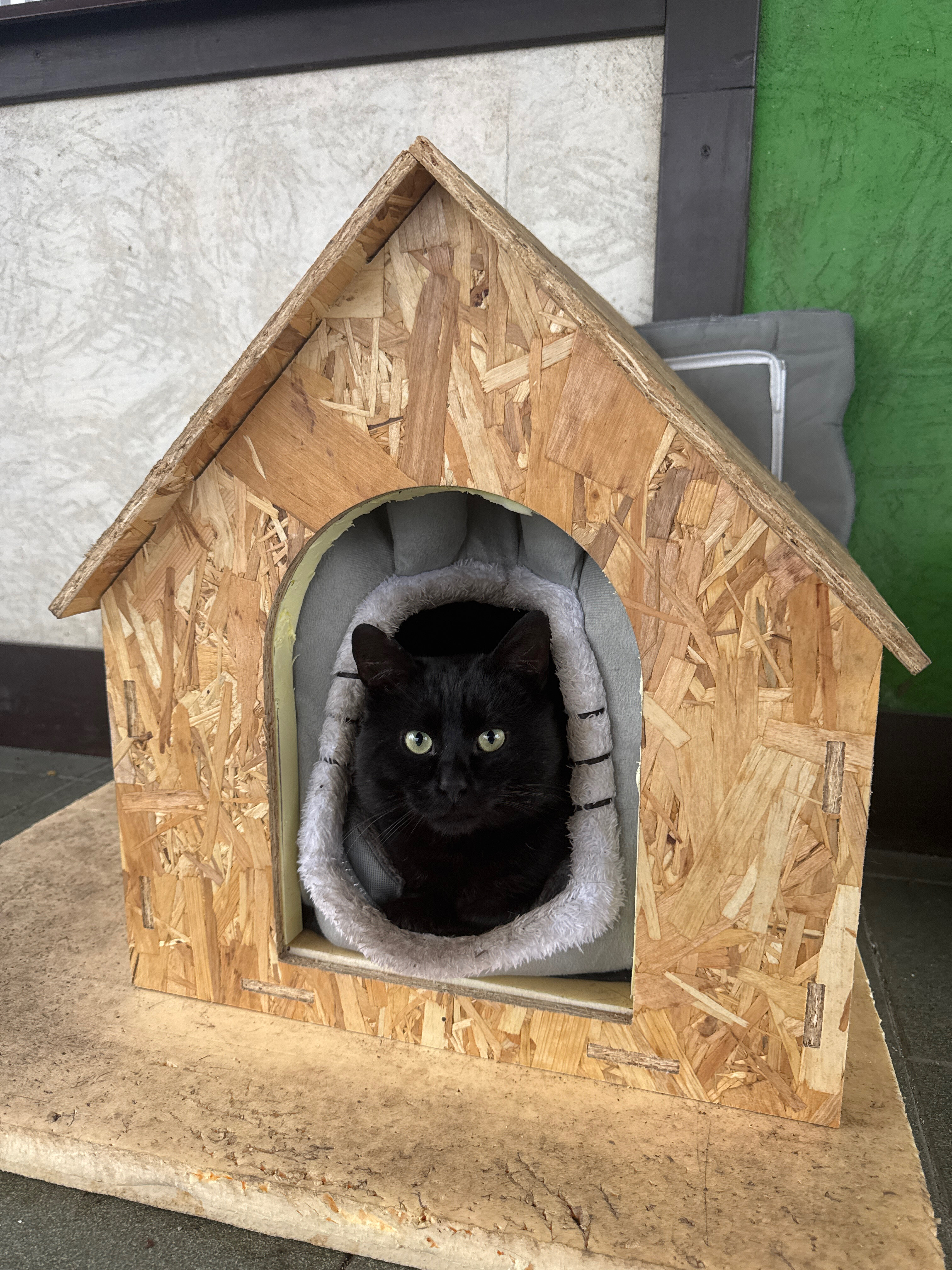 Фото Дом Учёных