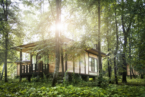 Гостиница Фореста Фестиваль Парк в Подмосковье