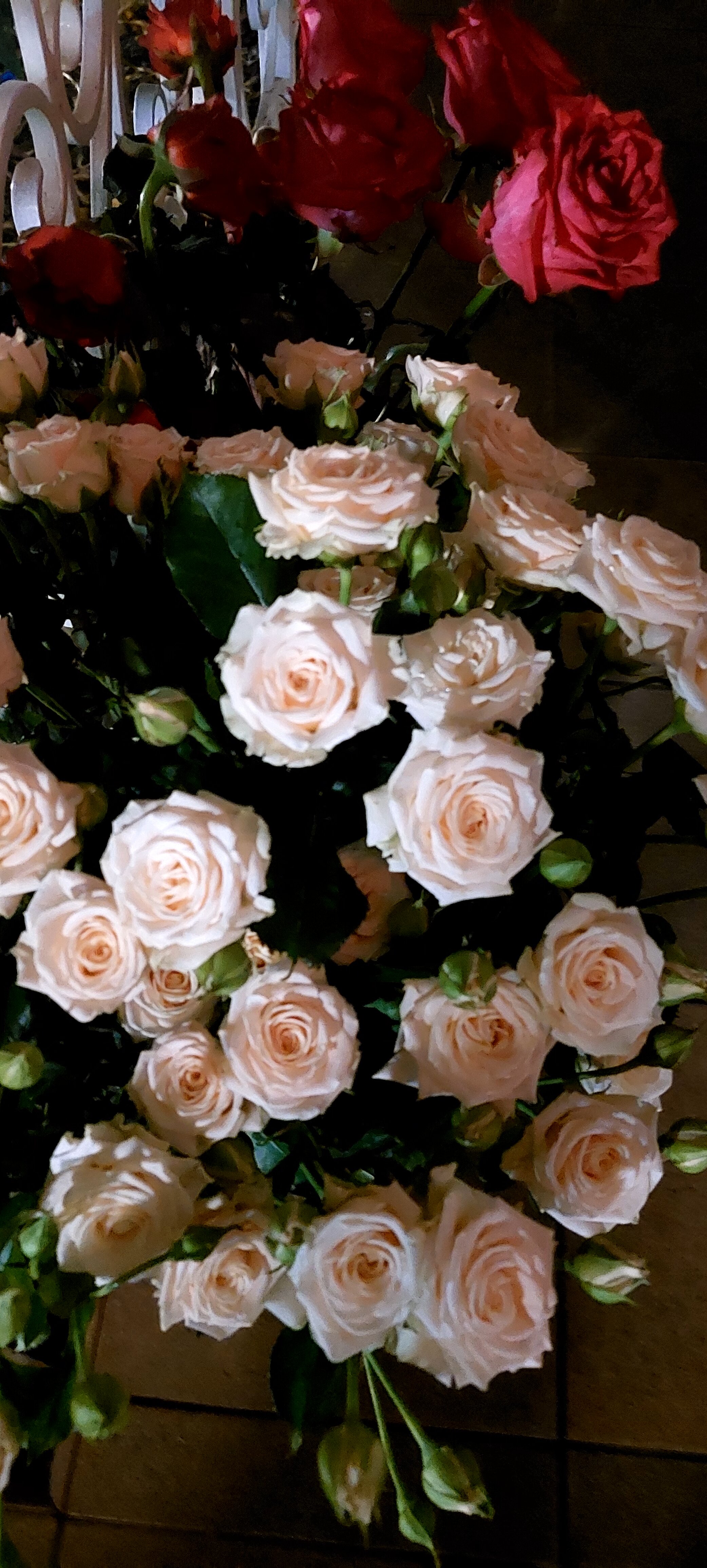 Фото Гарден Хоста