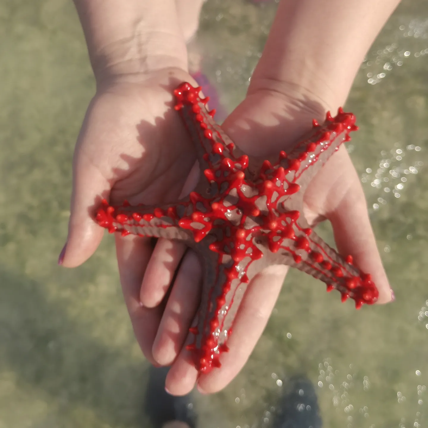 Фото Langi Langi Beach Bungalows