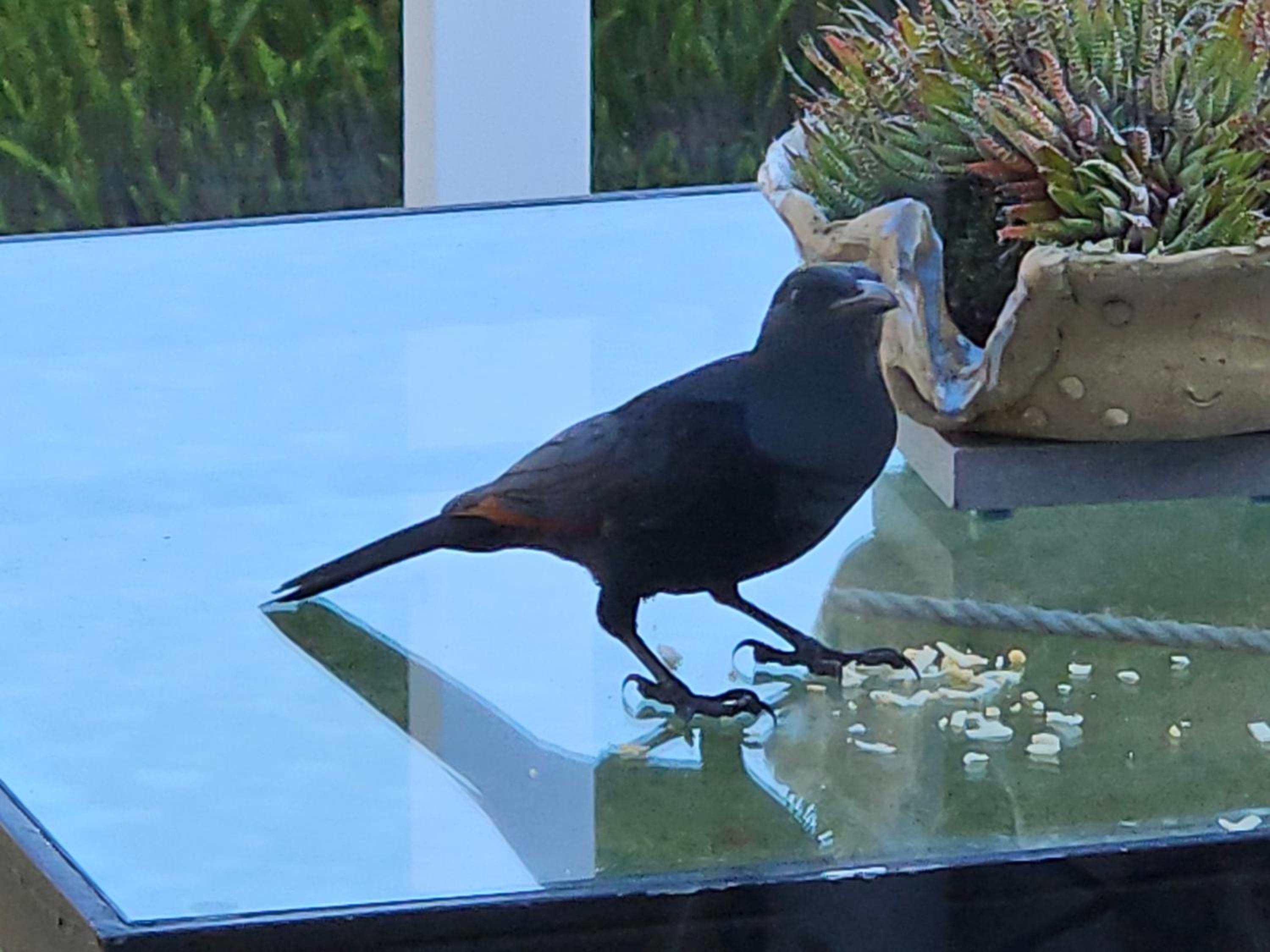 Фото Stannards Guest Lodge