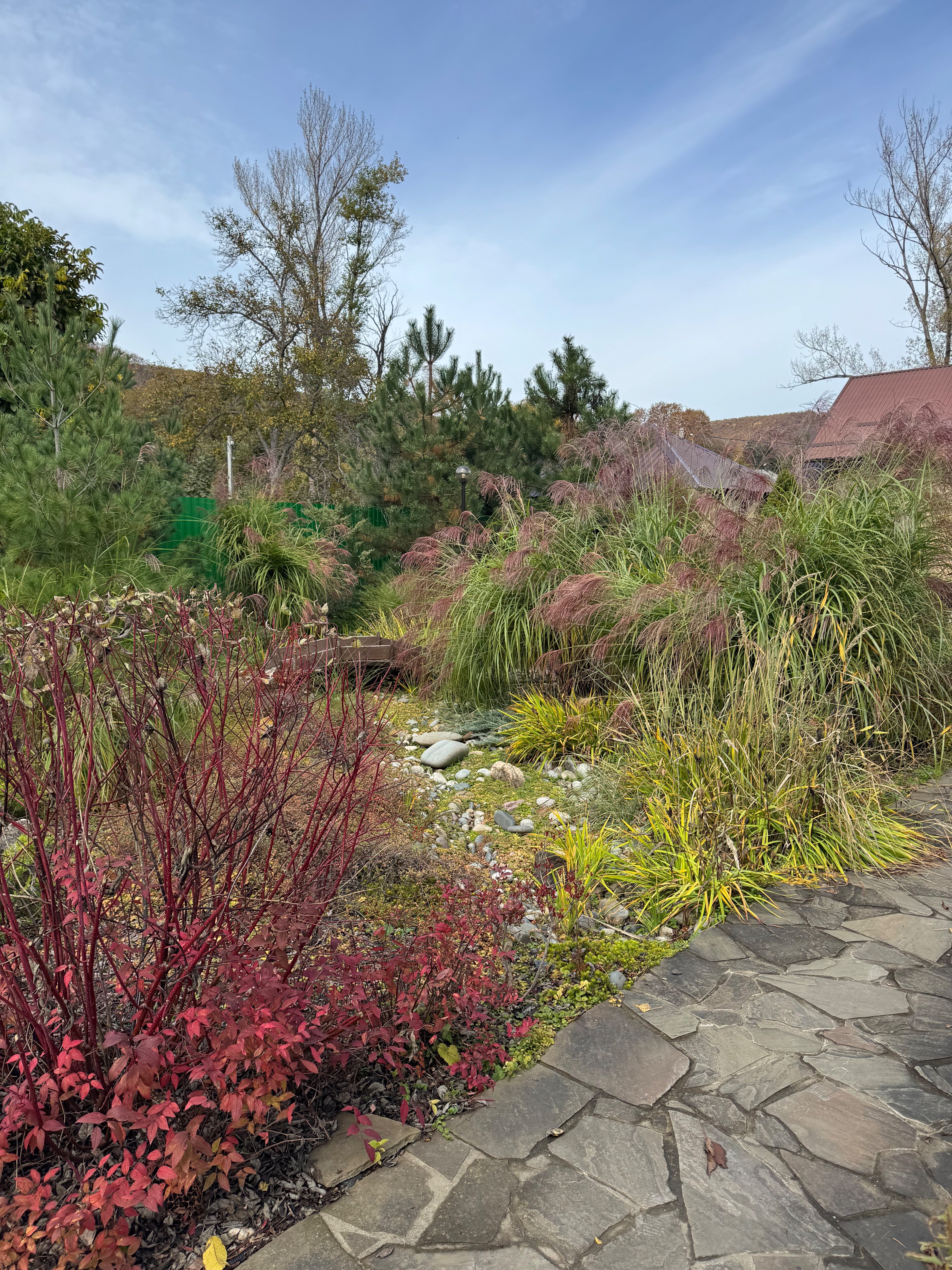 Фото Отдых у реки