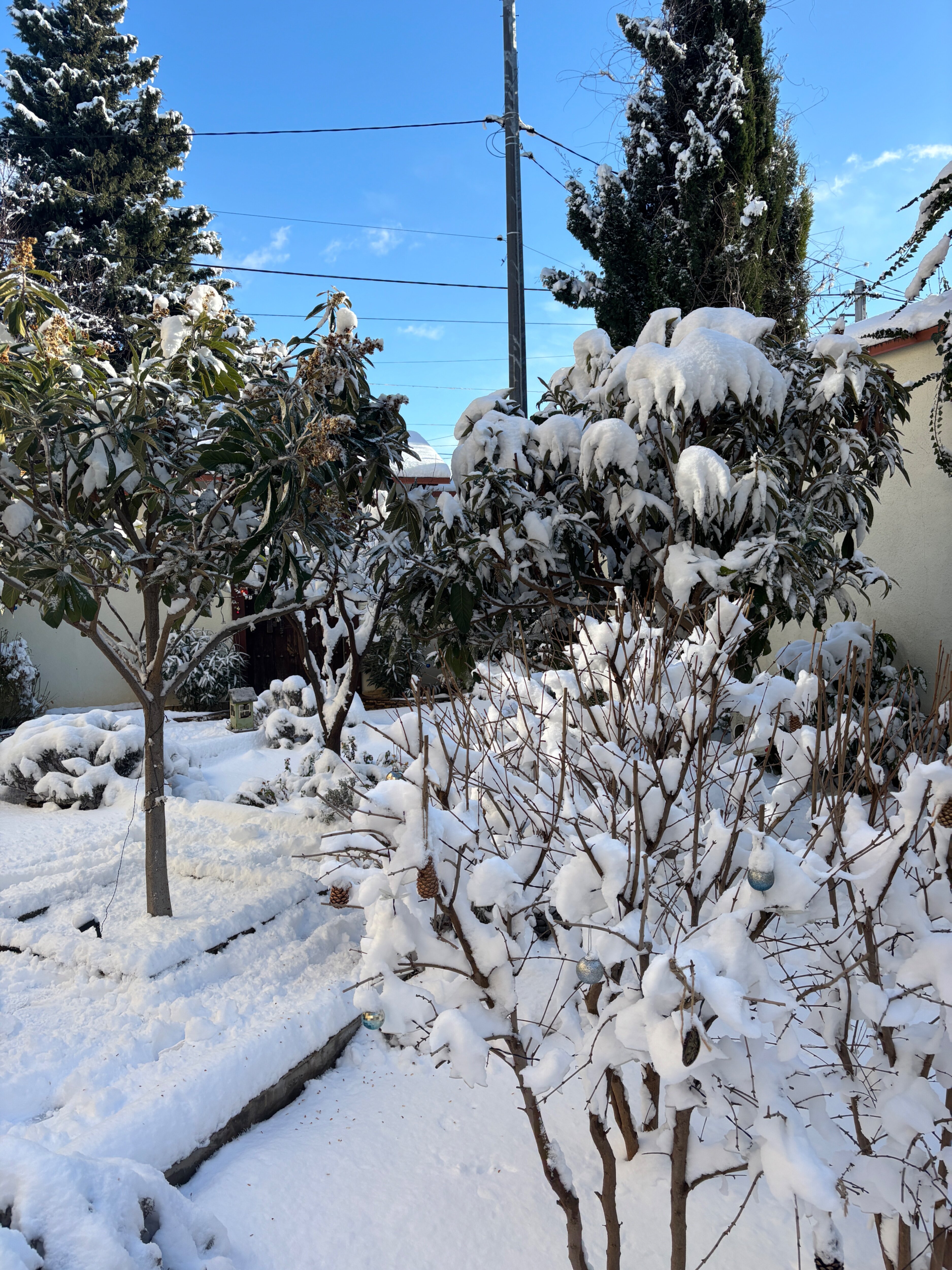 Фото Рахиль