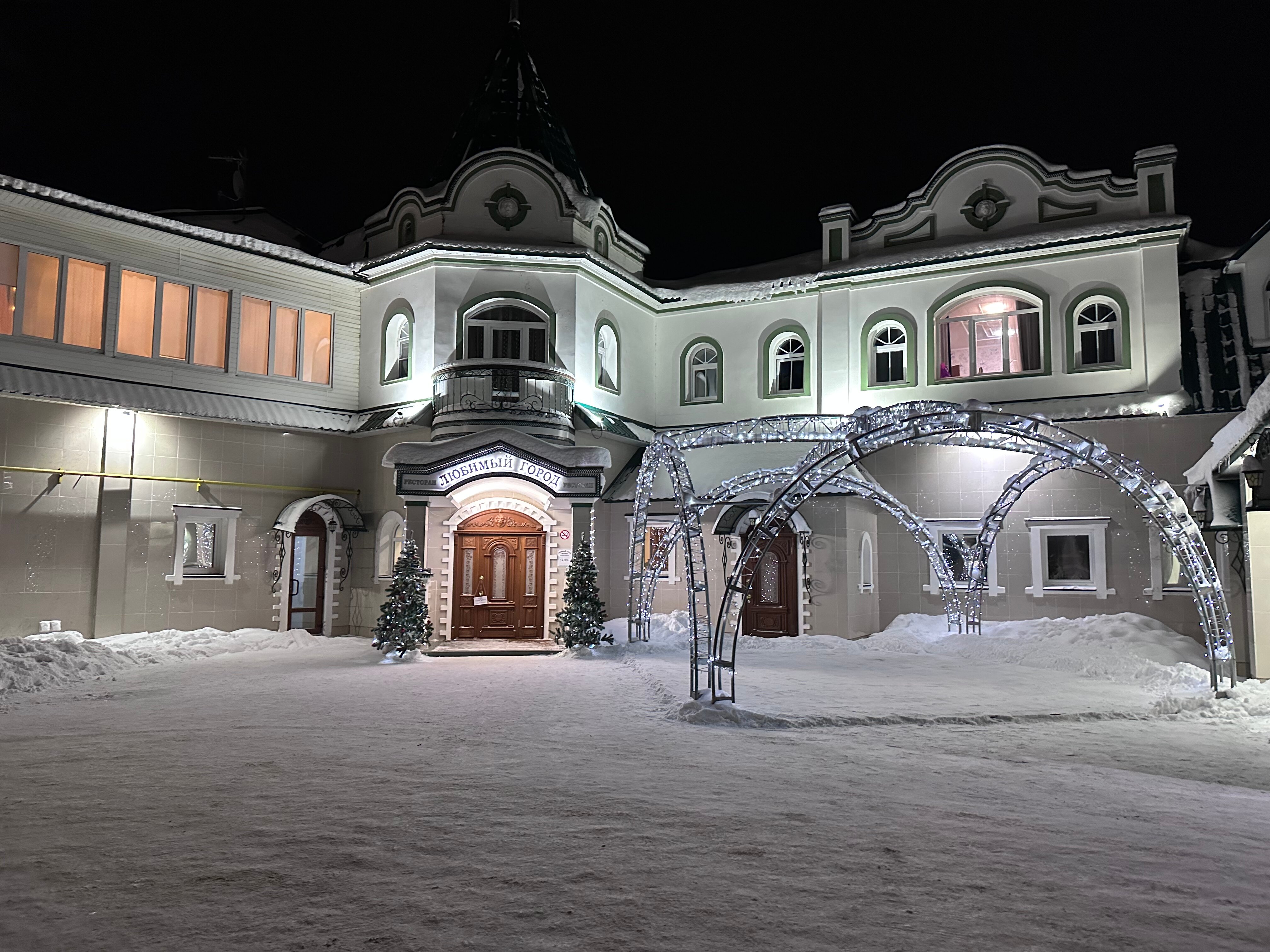 Фото Чайка