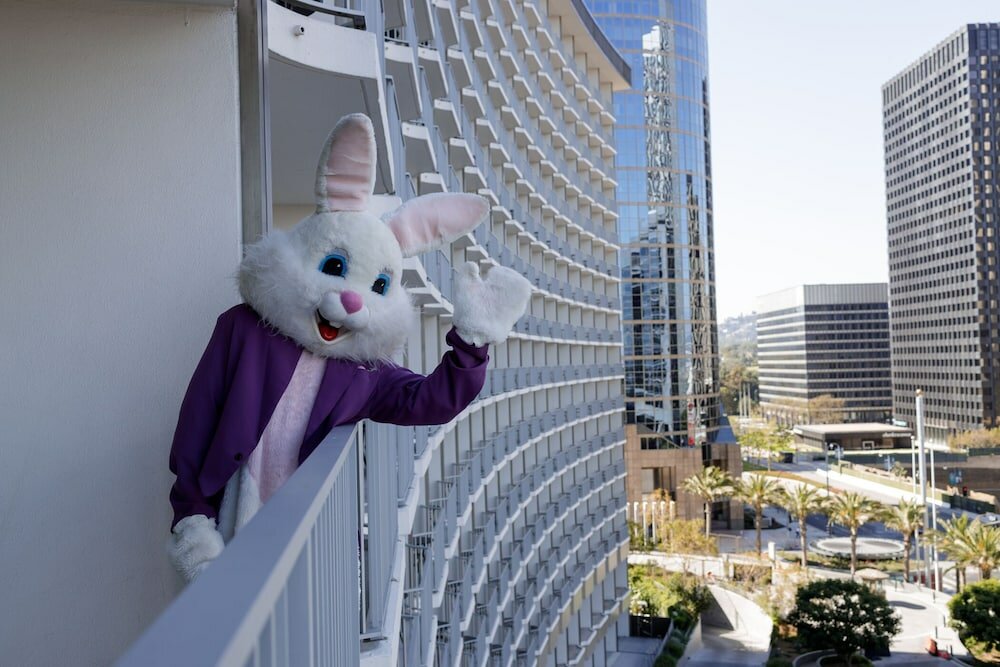 Фото Fairmont Century Plaza