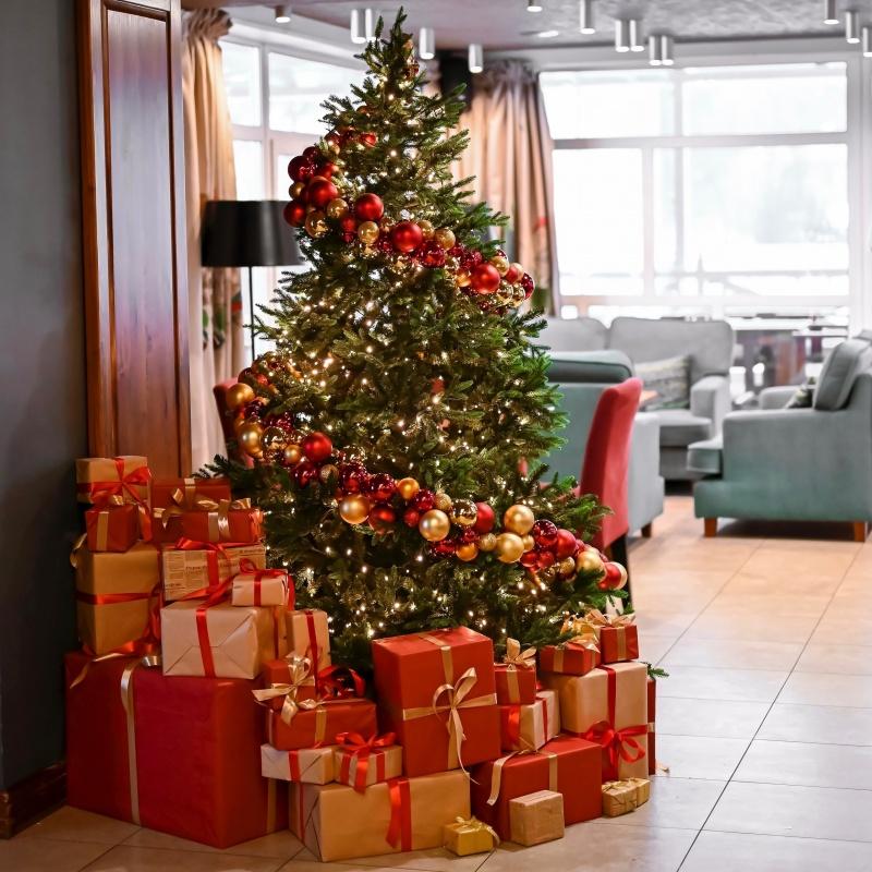 Фото Библиотека