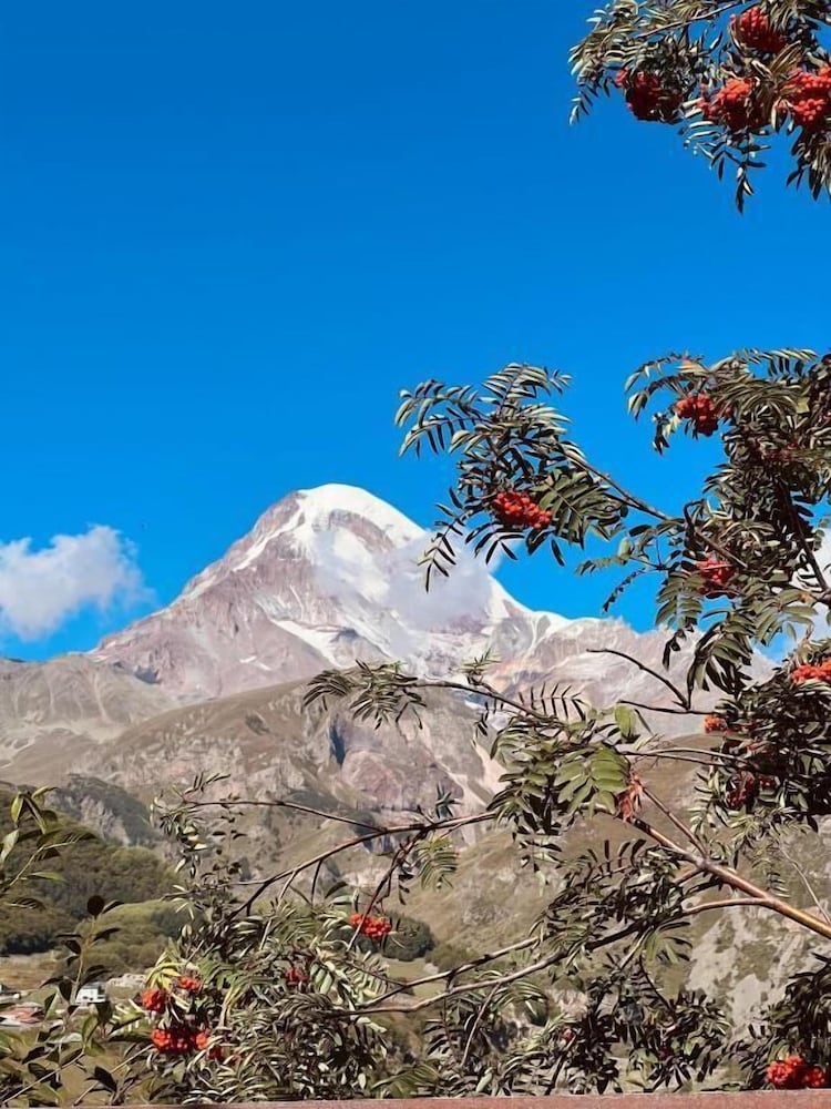 Hotel Axien Kazbegi - 18