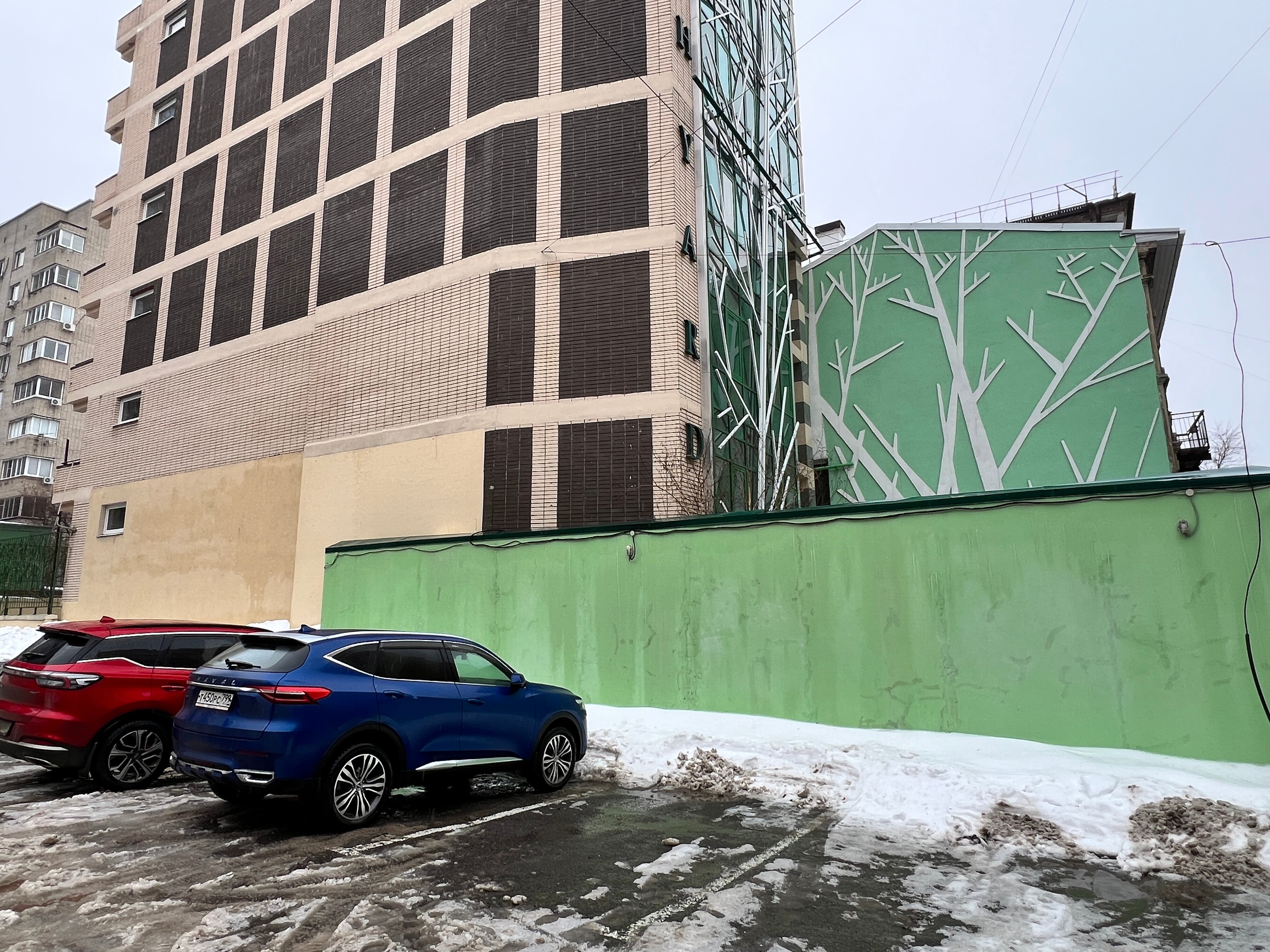 Фото Березовый двор